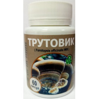 Гриб Трутовик №60