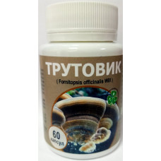 Гриб Трутовик №60