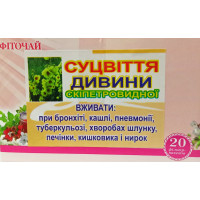 Соцветия Дивины скипетровидной №20