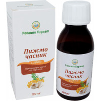 Сироп Пижмо-Чеснок 100 мл