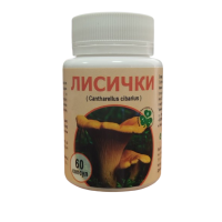 Гриб Лисички №60