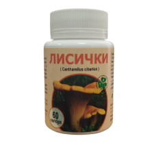Гриб Лисички №60