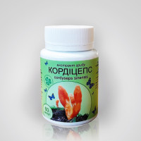 Гриб Кордицепс №60